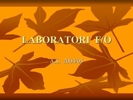 LABORATORI F/O A.S. 2004/05.
