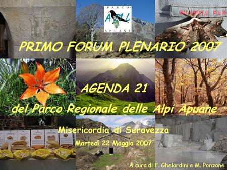 A cura di F. Ghelardini e M. Ponzone PRIMO FORUM PLENARIO 2007 AGENDA 21 del Parco Regionale delle Alpi Apuane Misericordia di Seravezza Martedì 22 Maggio.