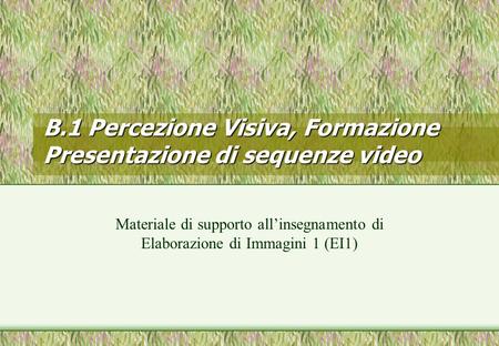B.1 Percezione Visiva, Formazione Presentazione di sequenze video