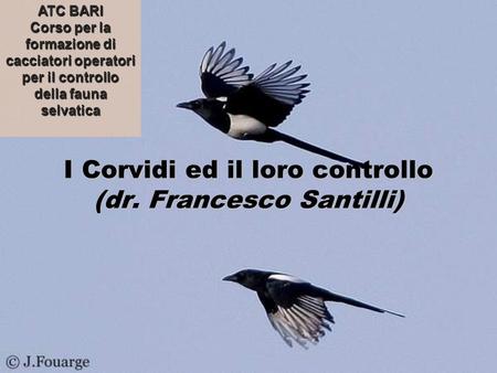 I Corvidi ed il loro controllo (dr. Francesco Santilli)