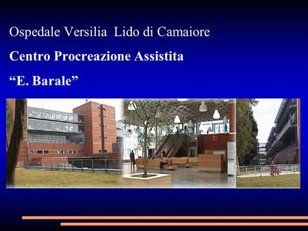 Ospedale Versilia Lido di Camaiore Centro Procreazione Assistita “E