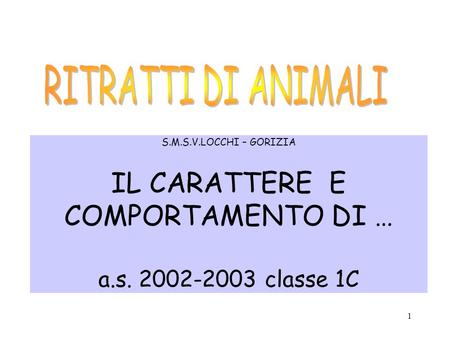 RITRATTI DI ANIMALI S.M.S.V.LOCCHI – GORIZIA IL CARATTERE E COMPORTAMENTO DI … a.s. 2002-2003 classe 1C.