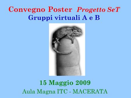 Convegno Poster Progetto SeT Gruppi virtuali A e B 15 Maggio 2009 Aula Magna ITC - MACERATA.