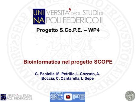 G. Paolella Napoli, 21/2/ 2008 1 Progetto S.Co.P.E. – WP4 Bioinformatica nel progetto SCOPE G. Paolella, M. Petrillo, L.Cozzuto, A. Boccia, C. Cantarella,