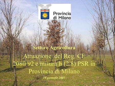 Settore Agricoltura Attuazione del Reg. CE 2080/92 e misura h (2.8) PSR in Provincia di Milano 18 gennaio 2005.