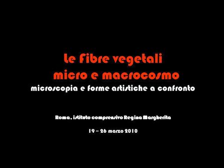 Le Fibre vegetali micro e macrocosmo microscopia e forme artistiche a confronto Roma, istituto comprensivo Regina Margherita 19 – 26 marzo 2010.