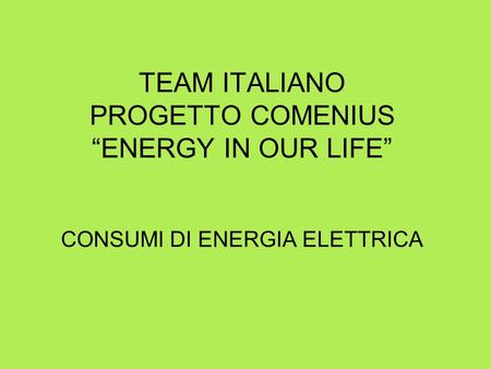 TEAM ITALIANO PROGETTO COMENIUS ENERGY IN OUR LIFE CONSUMI DI ENERGIA ELETTRICA.