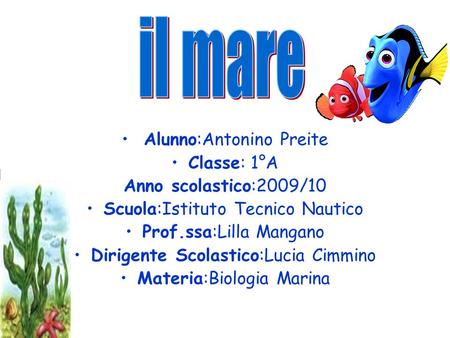 il mare Alunno:Antonino Preite Classe: 1°A Anno scolastico:2009/10