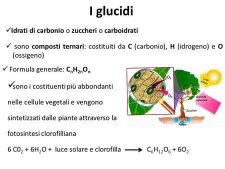 I glucidi Idrati di carbonio o zuccheri o carboidrati