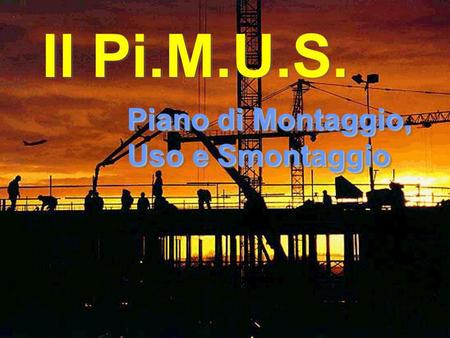 IL PiMUS Il Pi.M.U.S. Piano di Montaggio, Uso e Smontaggio.