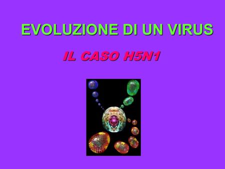 EVOLUZIONE DI UN VIRUS IL CASO H5N1.
