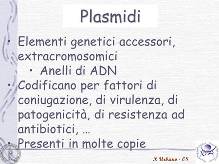 Plasmidi Elementi genetici accessori, extracromosomici Anelli di ADN