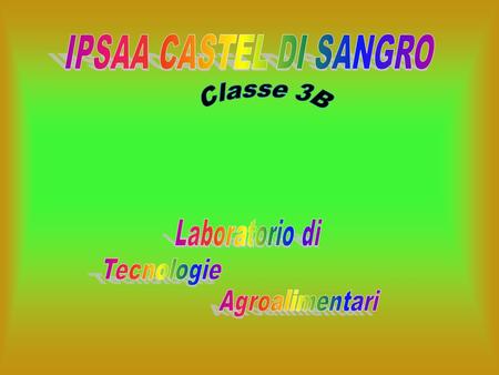IPSAA CASTEL DI SANGRO Classe 3B Laboratorio di Tecnologie