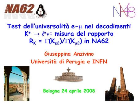 Università di Perugia e INFN