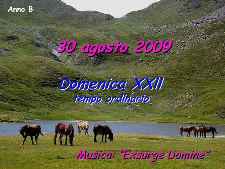 Anno B 30 agosto 2009 Domenica XXll tempo ordinario Domenica XXll tempo ordinario Musica: Exsurge Domine.