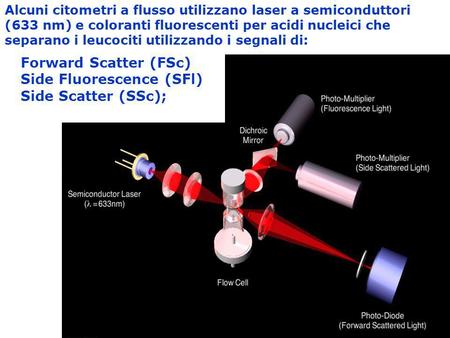 Side Fluorescence (SFl) Side Scatter (SSc);