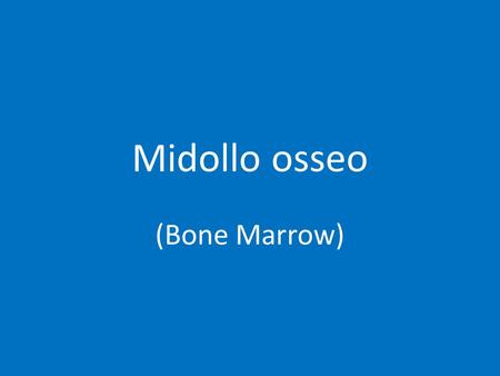 Midollo osseo (Bone Marrow).