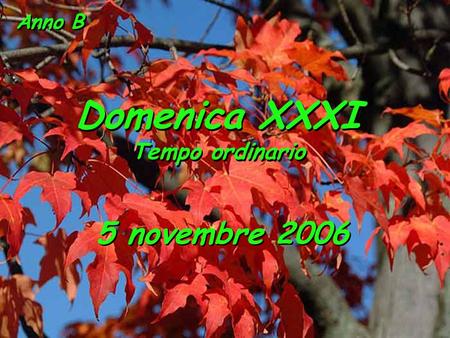 Anno B Domenica XXXI Tempo ordinario 5 novembre 2006.
