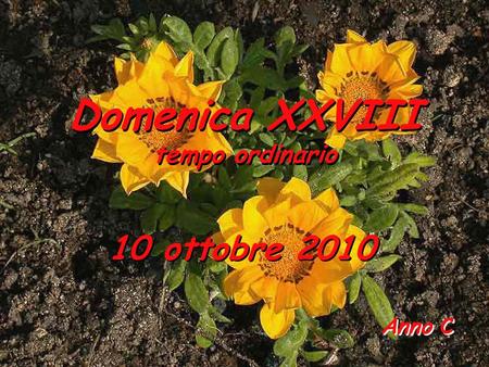 Domenica XXVIII tempo ordinario 10 ottobre 2010 Anno C.