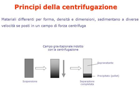 Principi della centrifugazione