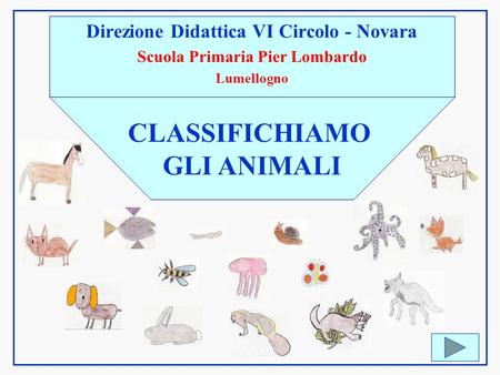 Direzione Didattica VI Circolo - Novara Scuola Primaria Pier Lombardo