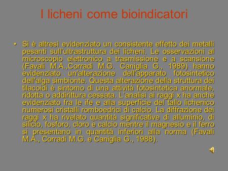 I licheni come bioindicatori