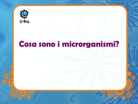 Cosa sono i microrganismi?
