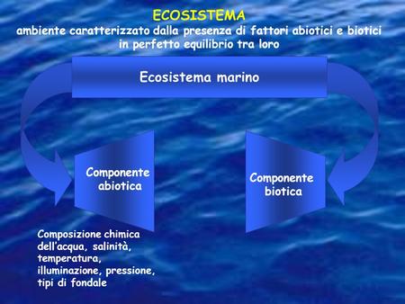 ECOSISTEMA Ecosistema marino