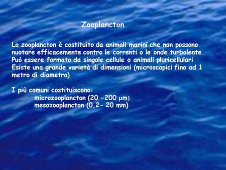 Zooplancton Lo zooplancton è costituito da animali marini che non possono nuotare efficacemente contro le correnti o le onde turbolente. Può essere formato.