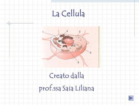 La Cellula Creato dalla prof.ssa Saia Liliana.