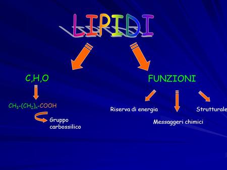 LIPIDI C,H,O FUNZIONI CH3-(CH2)n-COOH Riserva di energia Strutturale