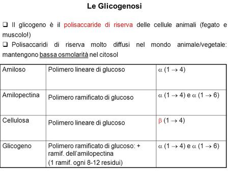 Le Glicogenosi Il glicogeno è il polisaccaride di riserva delle cellule animali (fegato e muscolo!) Polisaccaridi di riserva molto diffusi nel mondo animale/vegetale: