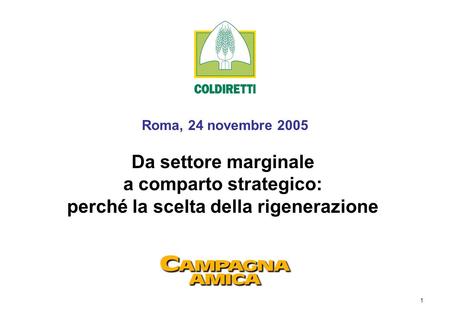 1 Roma, 24 novembre 2005 Da settore marginale a comparto strategico: perché la scelta della rigenerazione.