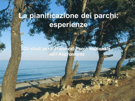 La pianificazione dei parchi: esperienze Gli studi per il Piano del Parco Nazionale dellAspromonte.