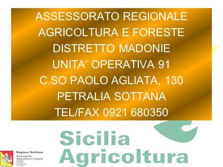 ASSESSORATO REGIONALE AGRICOLTURA E FORESTE DISTRETTO MADONIE UNITA OPERATIVA 91 C.SO PAOLO AGLIATA, 130 PETRALIA SOTTANA TEL/FAX 0921 680350.