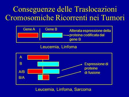 Conseguenze delle Traslocazioni Cromosomiche Ricorrenti nei Tumori