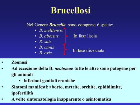 Nel Genere Brucella sono comprese 6 specie: