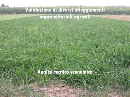 Valutazione di diversi atteggiamenti imprenditoriali agricoli Analisi tecnico economica.