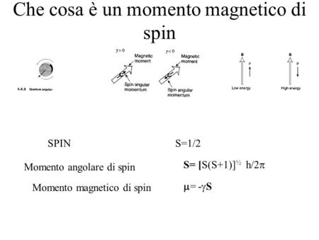 Che cosa è un momento magnetico di spin = - S SPIN S=1/2 Momento angolare di spin Momento magnetico di spin S= [S(S+1)] ½ h/2.