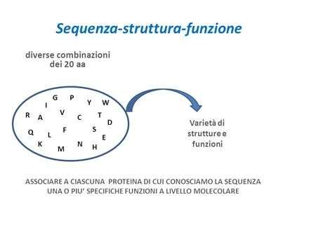 Sequenza-struttura-funzione