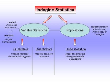 Indagine Statistica Variabili Statistiche Popolazione Qualitative