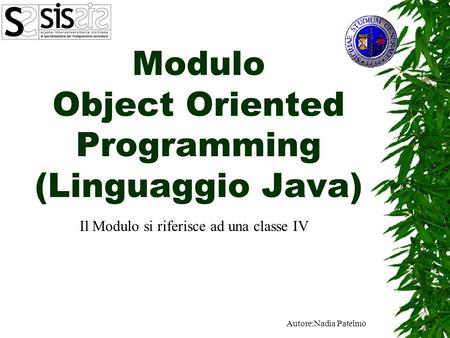 Modulo Object Oriented Programming (Linguaggio Java)