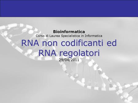 Bioinformatica Corso di Laurea Specialistica in Informatica RNA non codificanti ed RNA regolatori 29/04/2011.