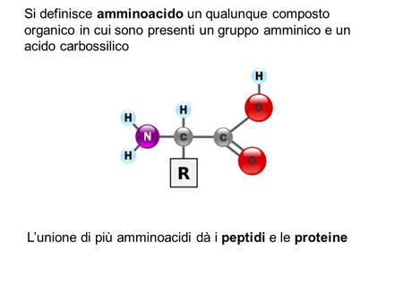 Si definisce amminoacido un qualunque composto organico in cui sono presenti un gruppo amminico e un acido carbossilico L’unione di più amminoacidi dà.