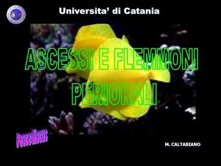 ASCESSI E FLEMMONI PERIORALI Pesce discus Universita’ di Catania