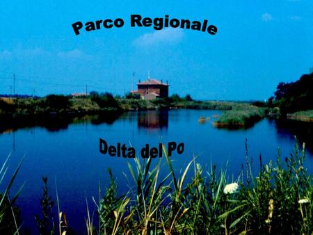 Parco Regionale Delta del Po.