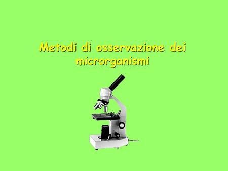 Metodi di osservazione dei microrganismi