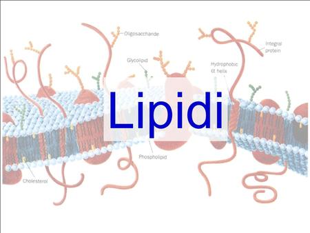 Lipidi.