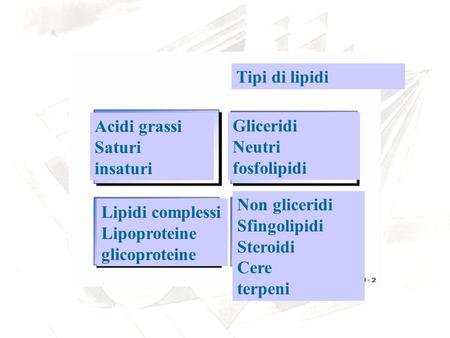 Tipi di lipidi Acidi grassi Saturi insaturi Gliceridi Neutri