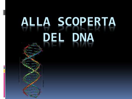 ALLA SCOPERTA DEL DNA.